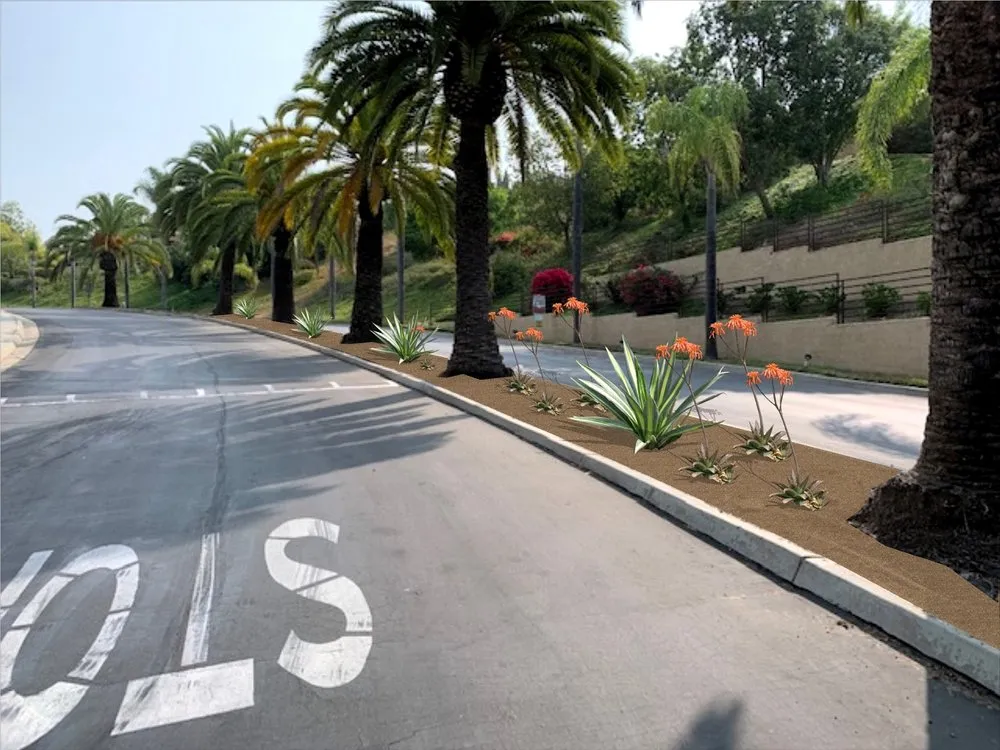 Custom outdoor landscaping in Escondido, CA - Vizuet Landscape & Maintenance