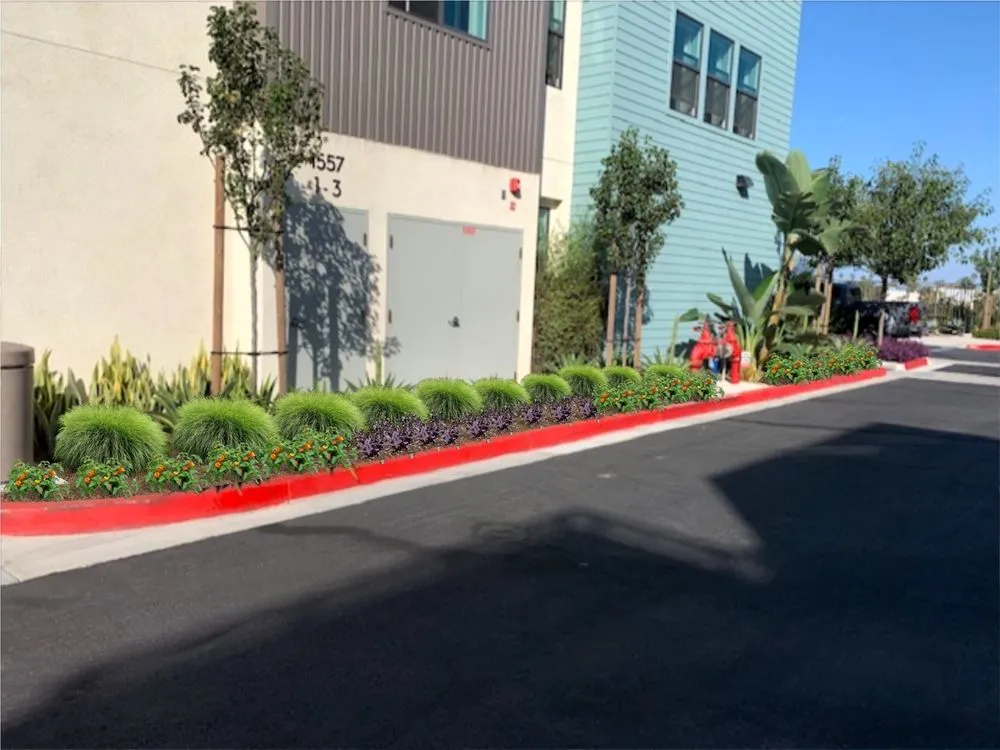 Affordable lawn care service in Escondido, CA - Vizuet Landscape & Maintenance