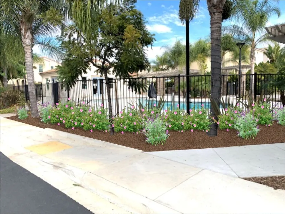 Trusted yard maintenance in Escondido, CA - Vizuet Landscape & Maintenance