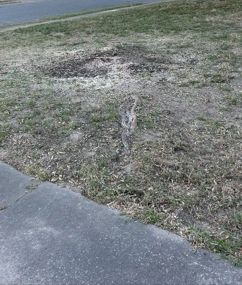 Custom garden landscaping experts serving Springdale, AR - Vizueth Tree Services