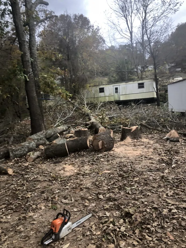 Reliable landscape installation experts serving Springdale, AR - Vizueth Tree Services