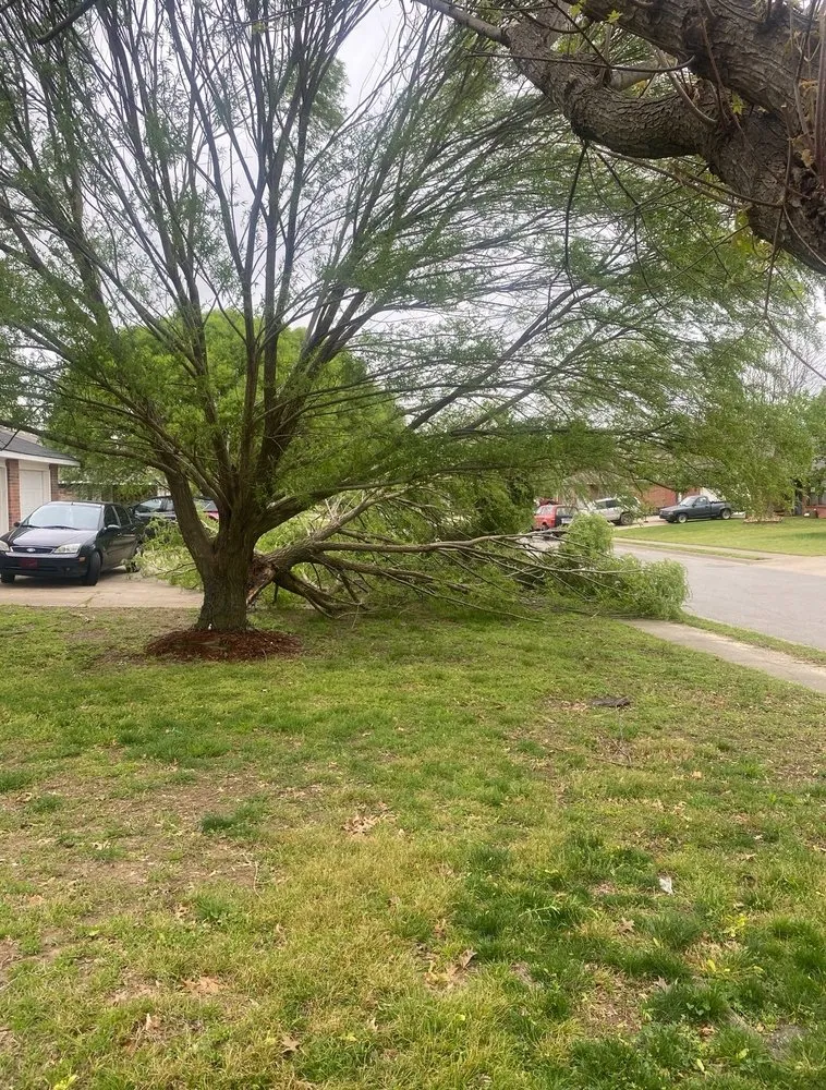 Trusted yard cleanup service for residential properties across Springdale, AR - Vizueth Tree Services