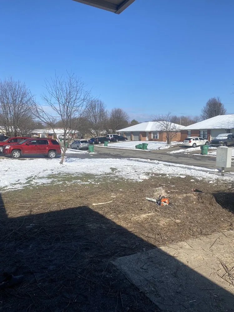 Affordable yard cleanup service for outdoor upgrades in Springdale, AR by Vizueth Tree Services