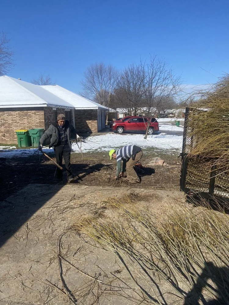 Professional lawn care service near you across Springdale, AR - Vizueth Tree Services