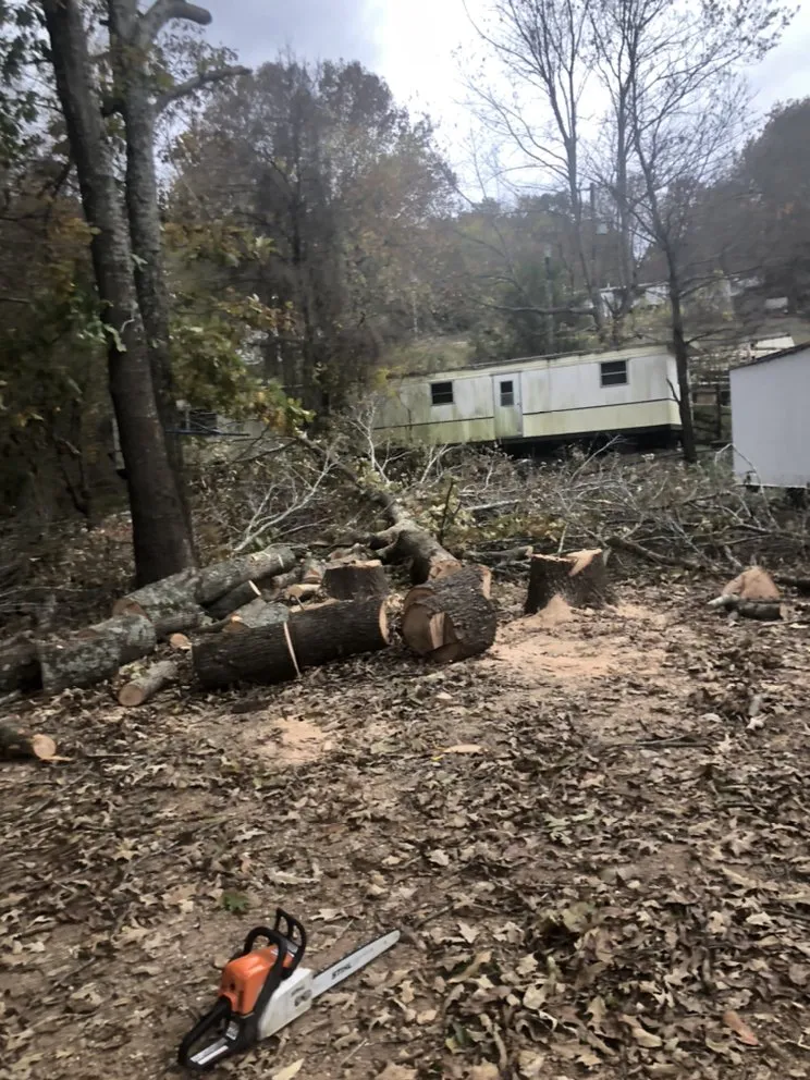 Expert garden landscaping for homes in Springdale, AR by Vizueth Tree Services