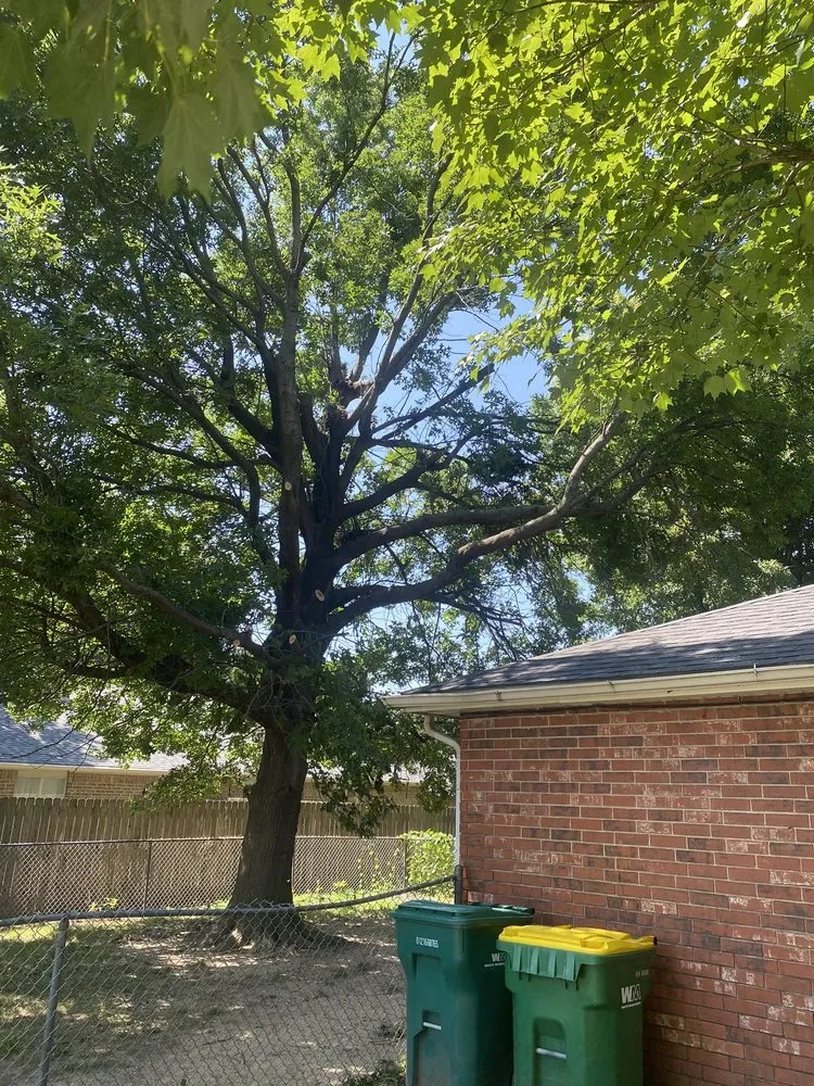 Local outdoor landscaping experts serving Springdale, AR - Vizueth Tree Services
