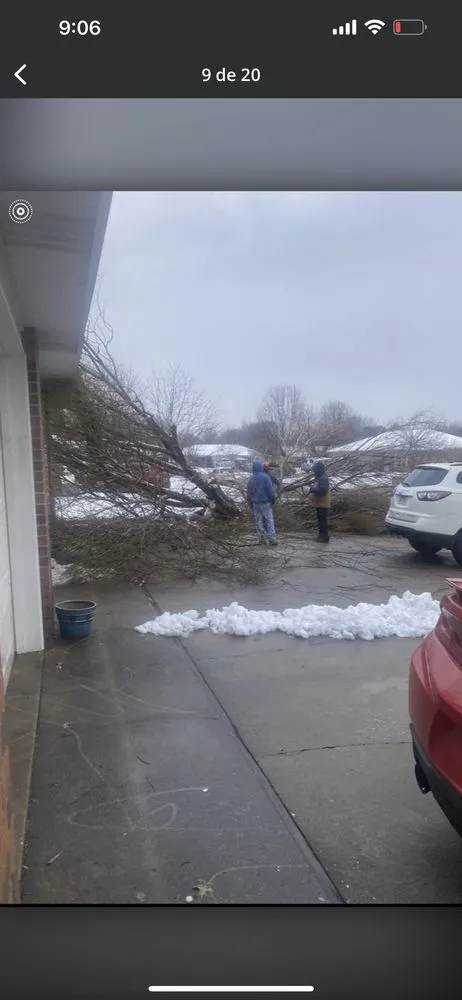 Trusted yard maintenance in Springdale, AR by Vizueth Tree Services