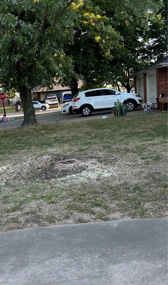 Expert garden landscaping experts serving Springdale, AR - Vizueth Tree Services