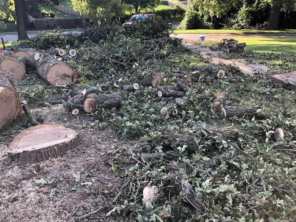 Professional landscape installation for beautiful yards across Springdale, AR - Vizueth Tree Services