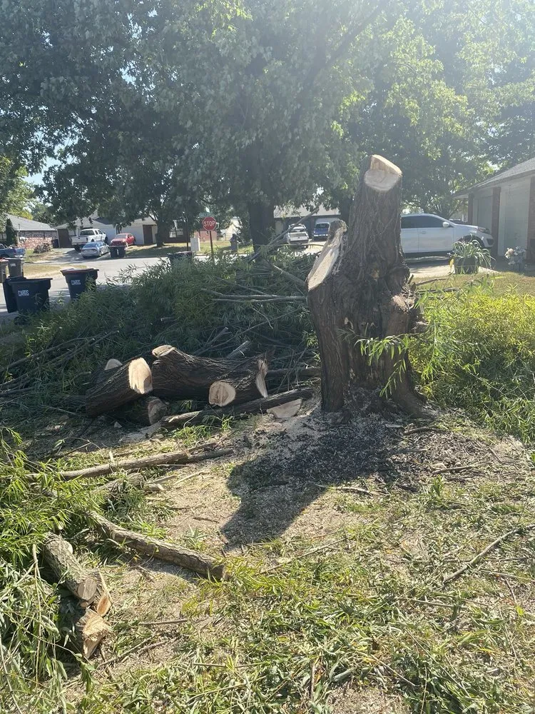 Top-rated garden landscaping for year-round maintenance in Springdale, AR by Vizueth Tree Services