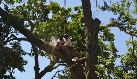 Expert outdoor landscaping in Newtown Square, PA - Vizzard Tree & Landscaping