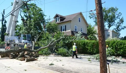Reliable landscaping services in Newtown Square, PA - Vizzard Tree & Landscaping