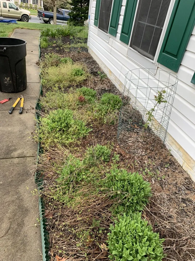 Reliable yard maintenance in Westminster, MD - V&J Landscaping Services