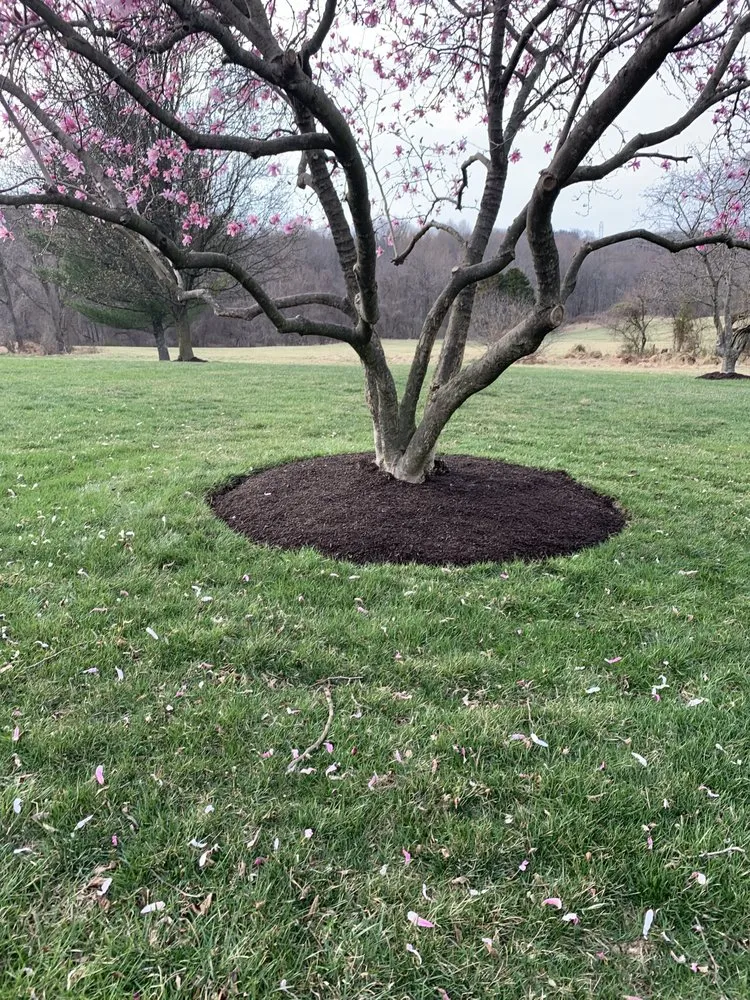 Expert lawn care service experts serving Westminster, MD - V&J Landscaping Services