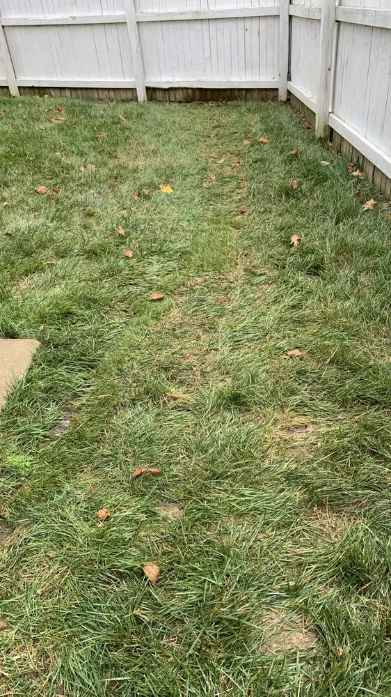 Reliable residential landscaping for homes across Westminster, MD - V&J Landscaping Services