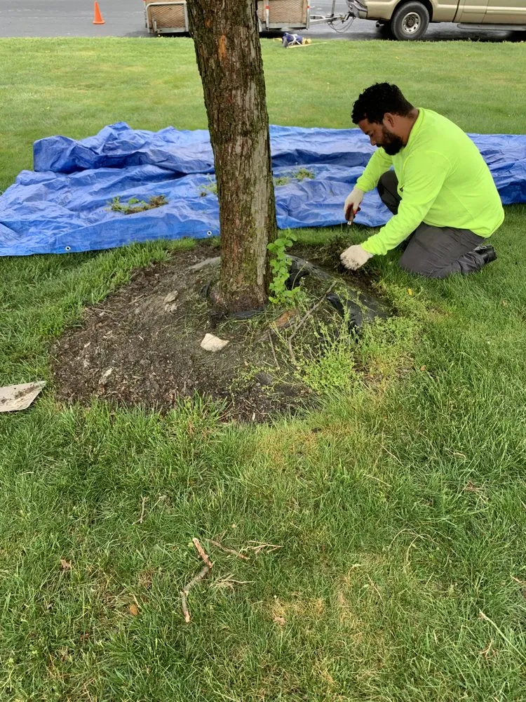 Reliable yard maintenance experts serving Westminster, MD - V&J Landscaping Services