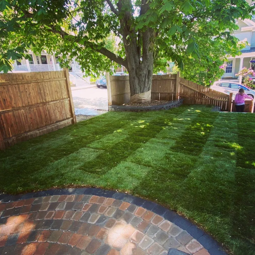 Local landscape installation in Lynn, MA by Vjr Nolasco's