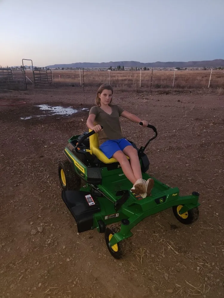 Local lawn care service for year-round maintenance across Paulden, AZ - V&J's Landscaping