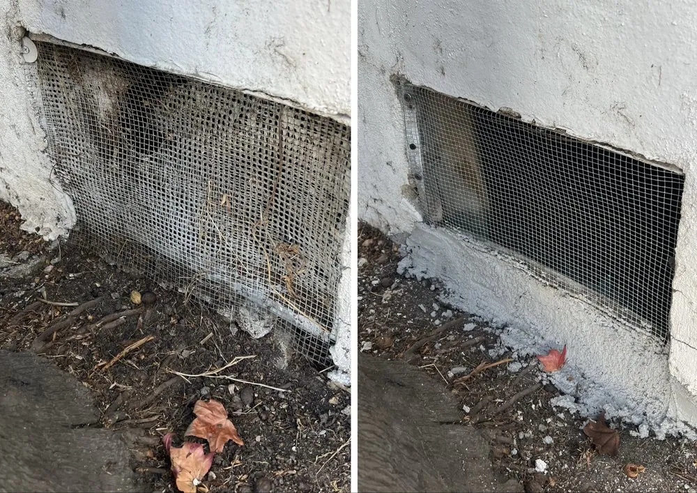 Professional garden landscaping in Los Angeles, CA by Vk Global