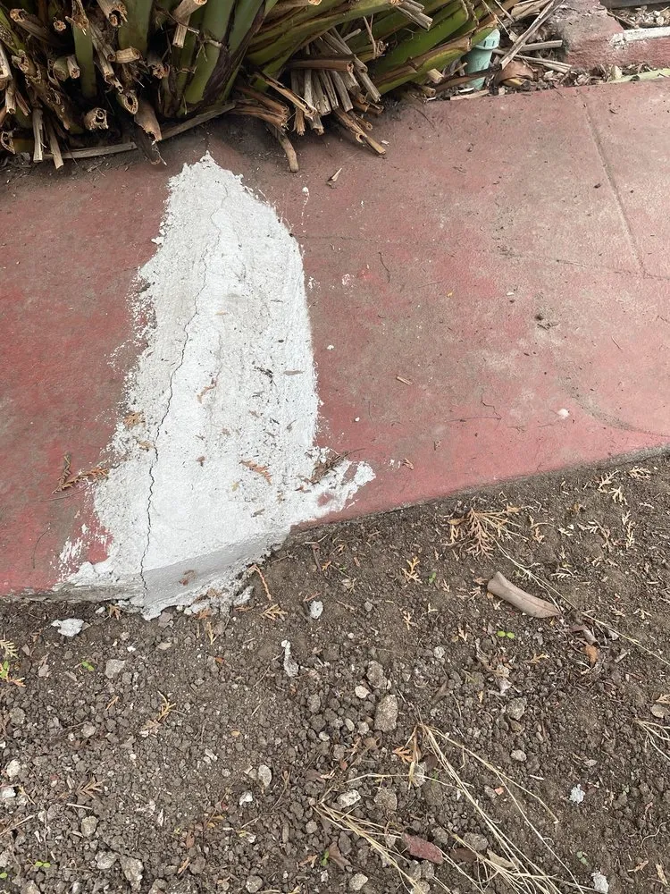 Top-rated lawn care service in Los Angeles, CA - Vk Global