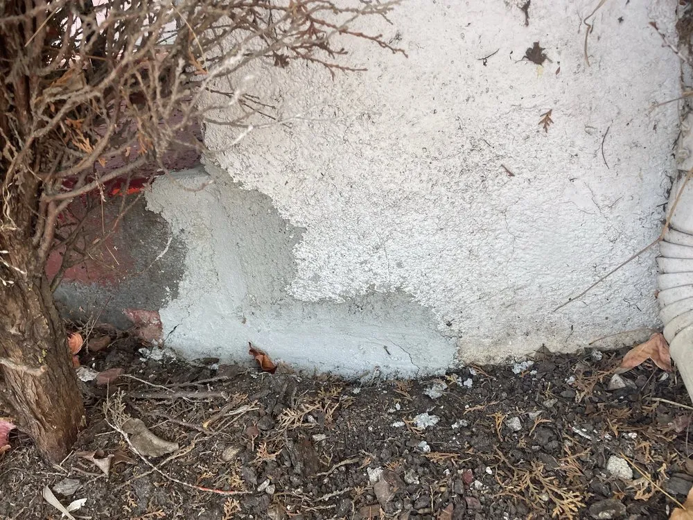 Custom yard maintenance in Los Angeles, CA by Vk Global