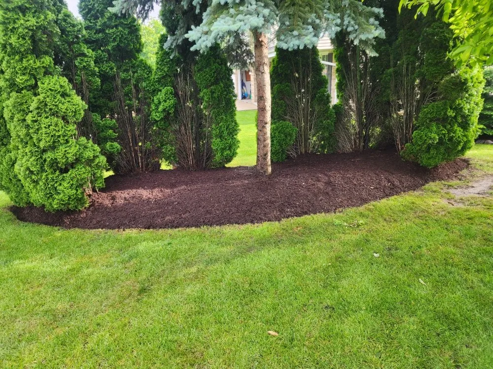 Local yard maintenance in Burlington, WI by VK Landscaping