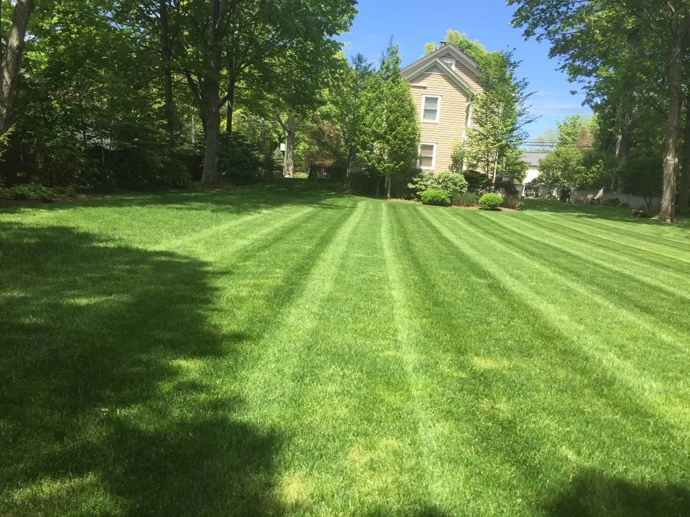 Local residential landscaping for year-round maintenance in Norwalk, CT by VL Landscape Complete