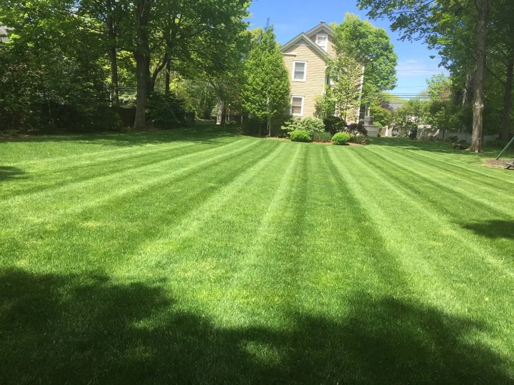 Reliable lawn care service experts serving Norwalk, CT - VL Landscape Complete