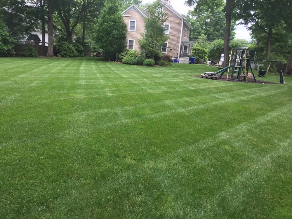 Professional yard cleanup service in Norwalk, CT - VL Landscape Complete
