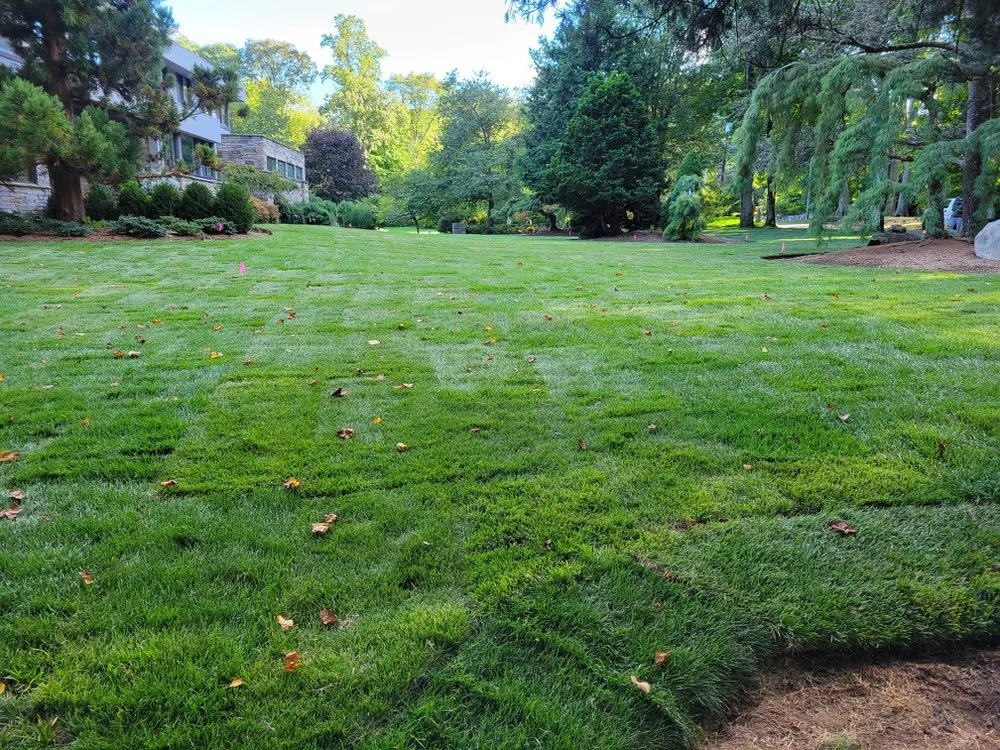 Professional garden landscaping in Norwalk, CT - VL Landscape Complete