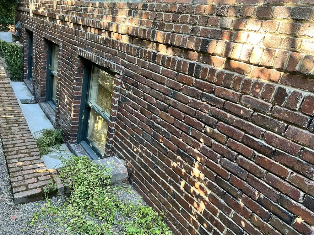 Professional lawn care service with custom design across Hayward, CA - VL Services