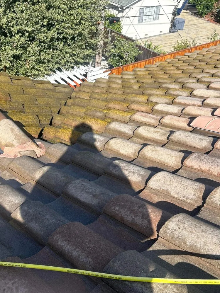 Professional landscape design for year-round maintenance in Hayward, CA by VL Services