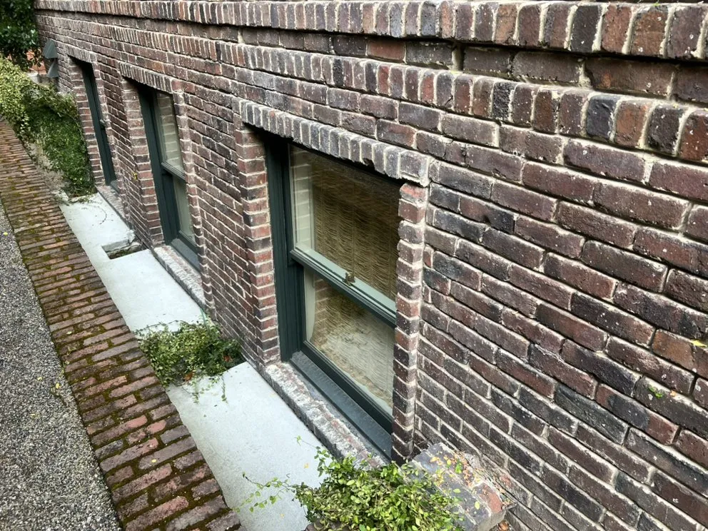 Top-rated landscaping services experts serving Hayward, CA - VL Services