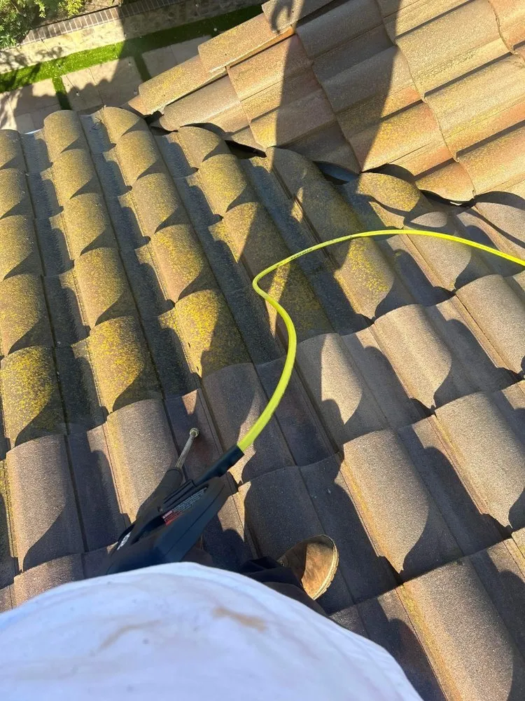 Top-rated landscape design for year-round maintenance across Hayward, CA - VL Services