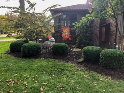 Reliable garden landscaping in Hayward, CA by VL Services
