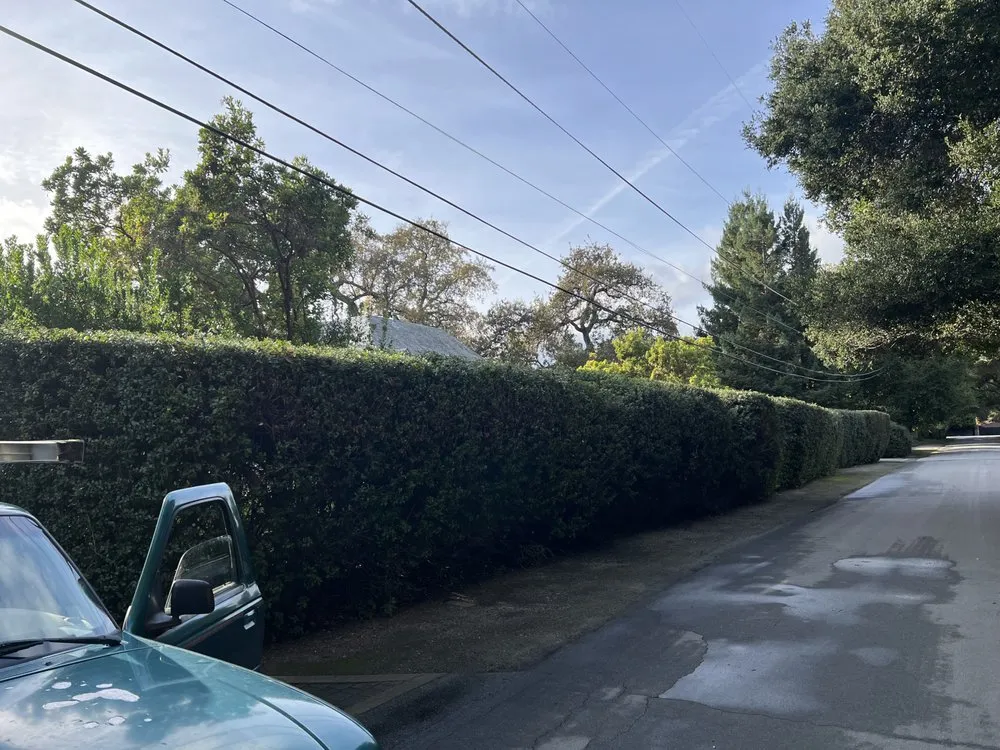 Expert yard maintenance for year-round maintenance in Hayward, CA by VL Services