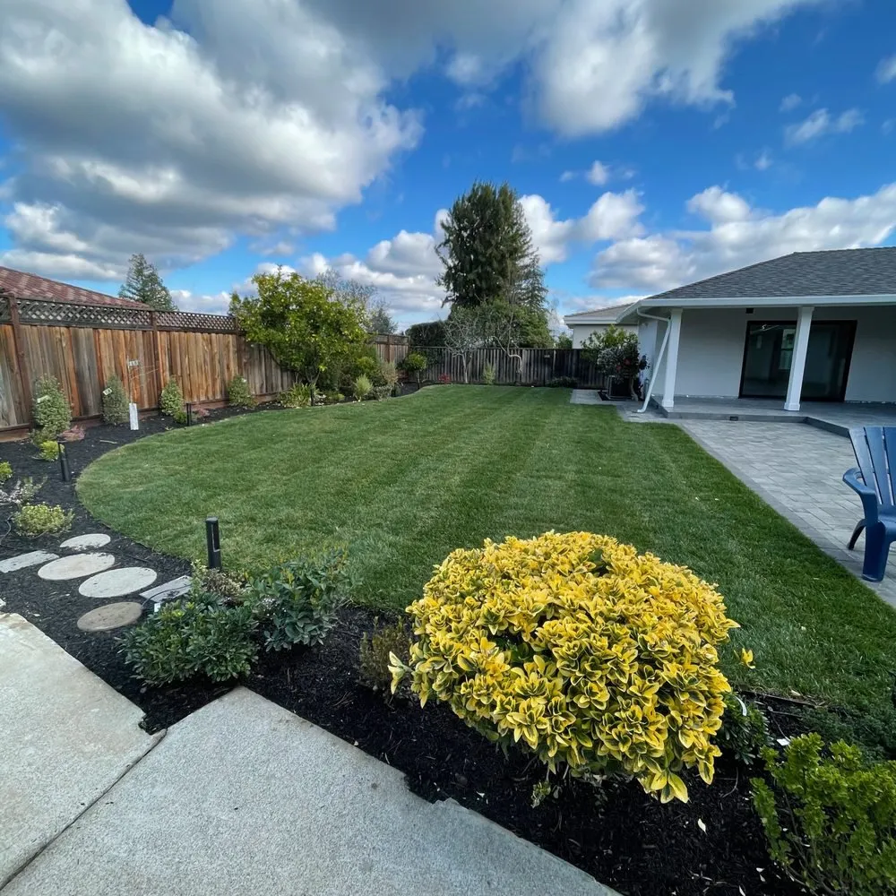 Top-rated landscaping services in Hayward, CA - VL Services