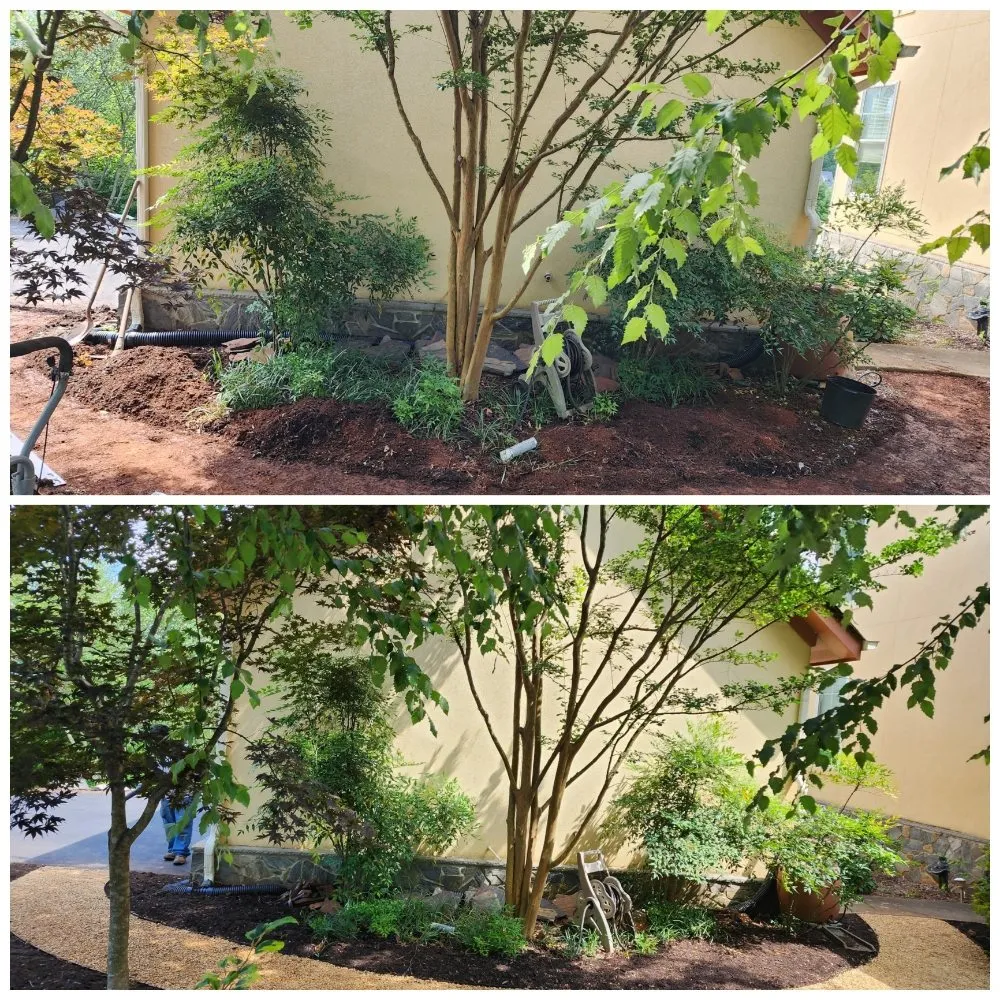 Affordable landscape design in Charlottesville, VA by Vladimir Landscape Contractor