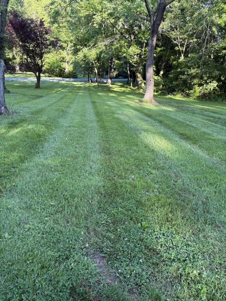 Affordable yard maintenance in Annapolis, MD - VLC landscaping services & patios