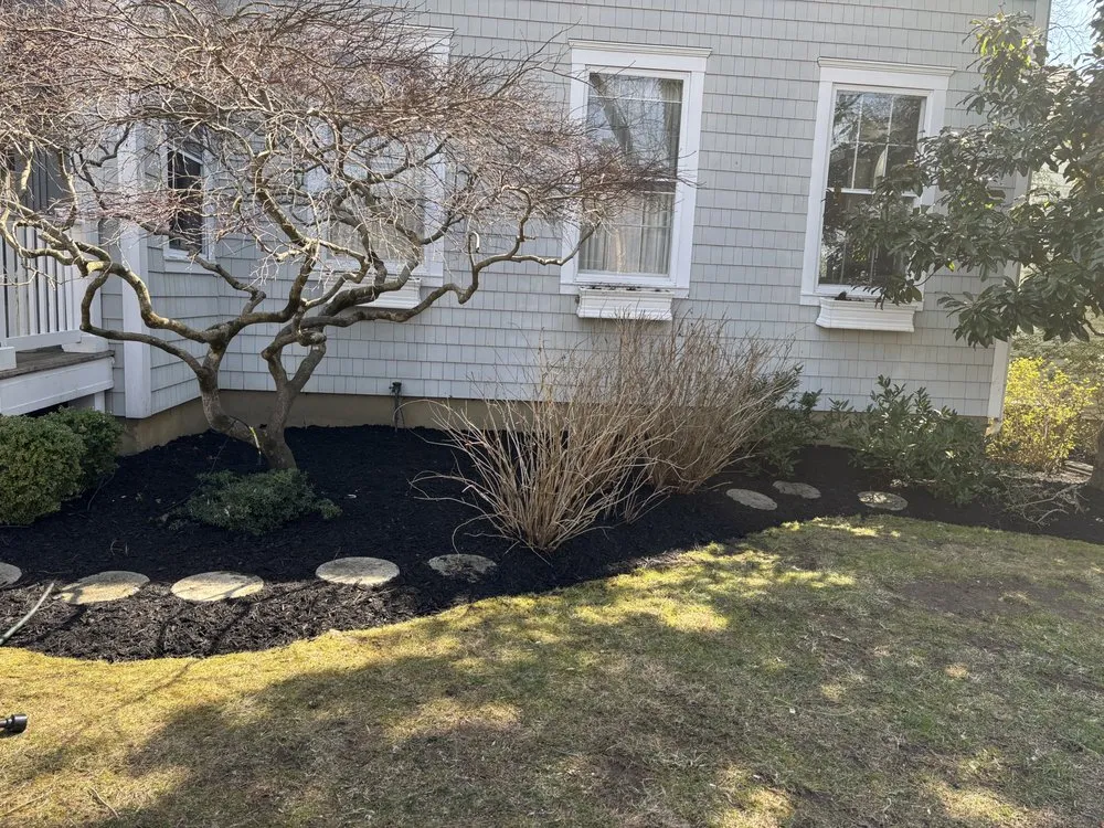 Trusted yard cleanup service for beautiful yards across Annapolis, MD - VLC landscaping services & patios