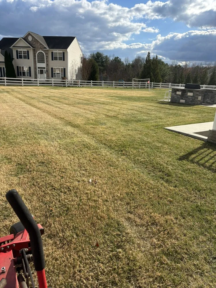 Local outdoor landscaping for year-round maintenance in Annapolis, MD by VLC landscaping services & patios