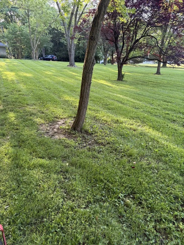 Professional landscape design in Annapolis, MD - VLC landscaping services & patios