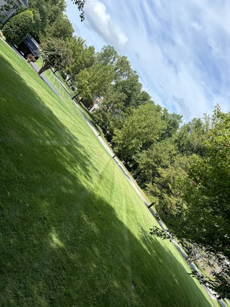 Expert garden landscaping experts serving Annapolis, MD - VLC landscaping services & patios