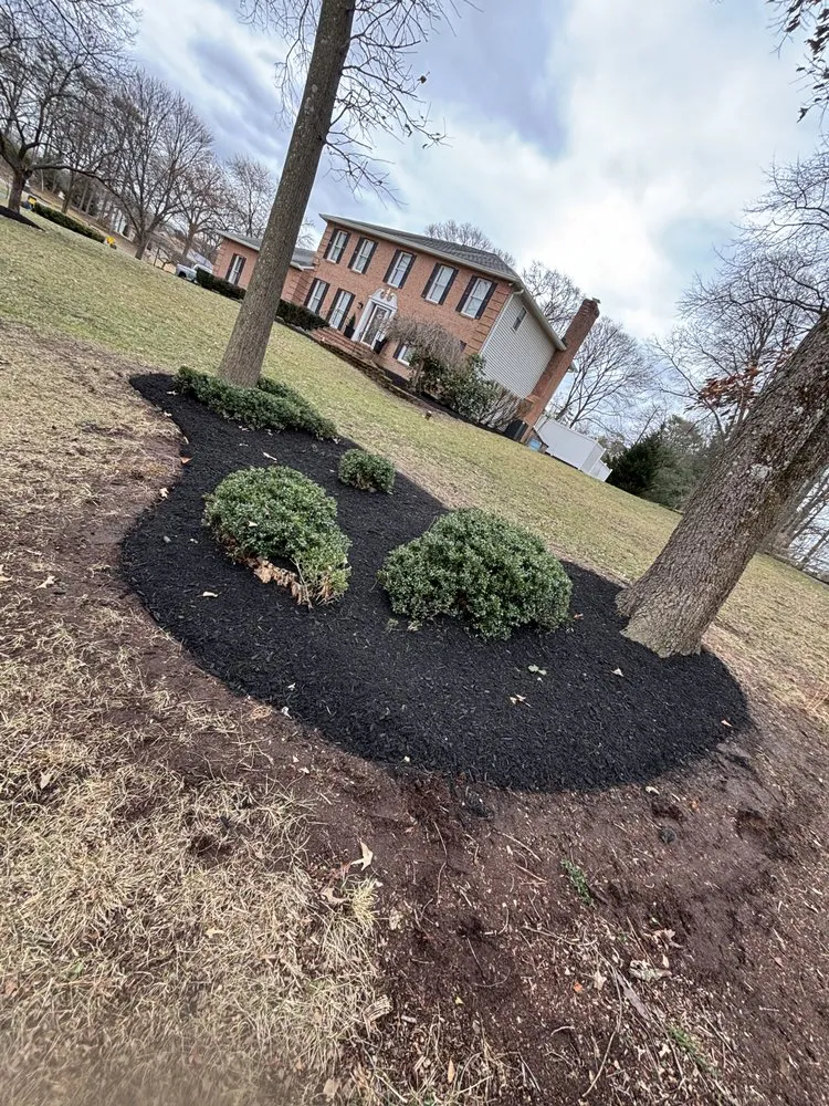 Affordable lawn care service experts serving Annapolis, MD - VLC landscaping services & patios