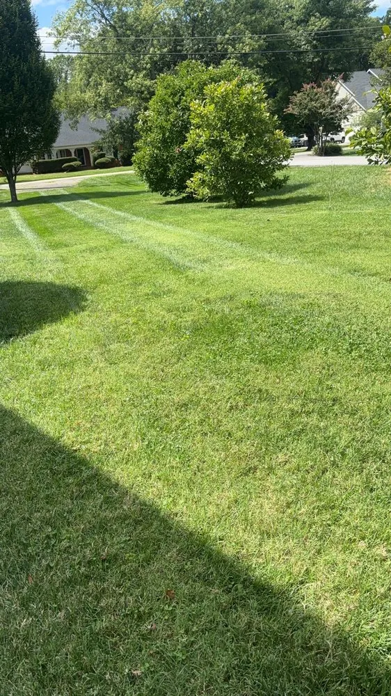 Professional landscape design in Annapolis, MD by VLC landscaping services & patios