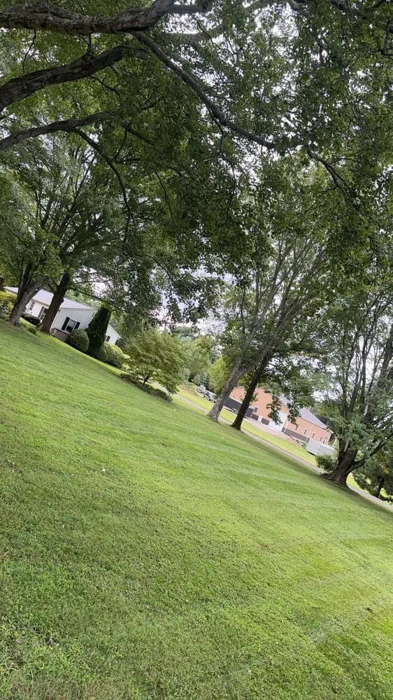 Trusted yard maintenance with custom design across Annapolis, MD - VLC landscaping services & patios