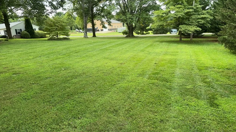 Custom residential landscaping in Annapolis, MD by VLC landscaping services & patios