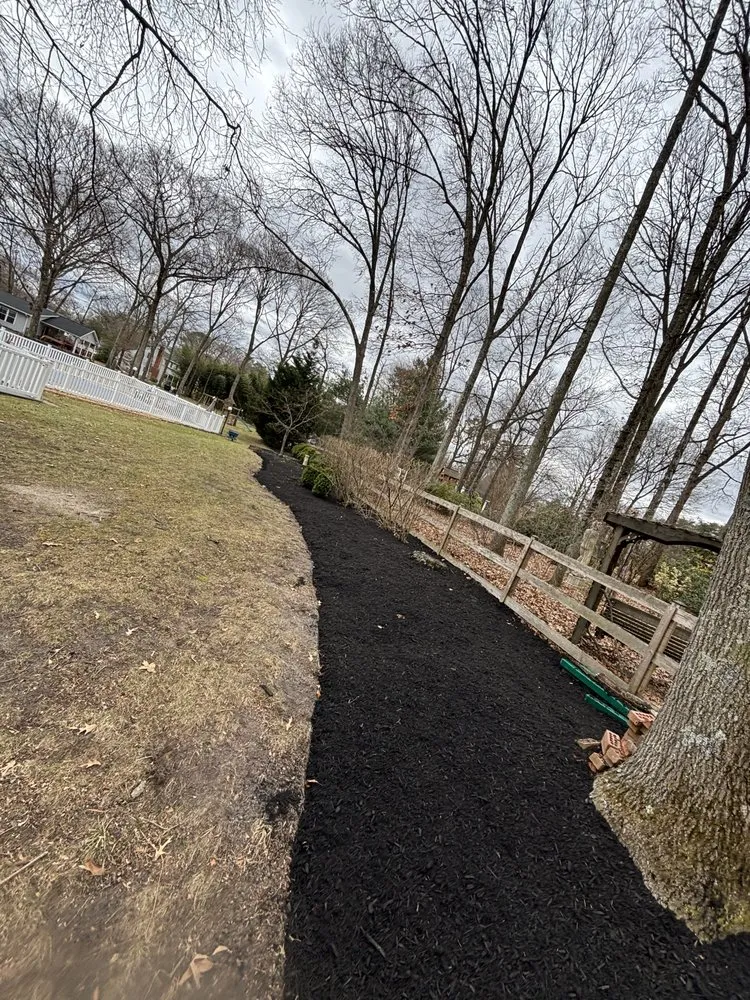 Affordable yard cleanup service in Annapolis, MD by VLC landscaping services & patios