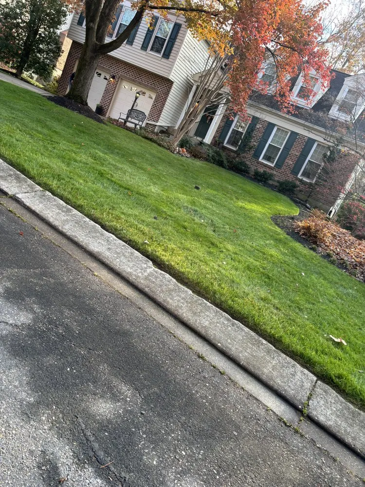 Affordable residential landscaping in Annapolis, MD - VLC landscaping services & patios