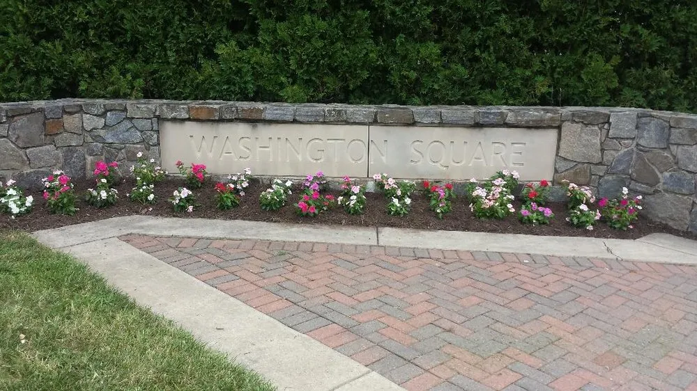 Top-rated landscaping services experts serving Odenton, MD - VLC Lawn Maintenance